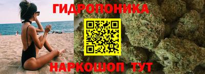 крисы Краснокаменск