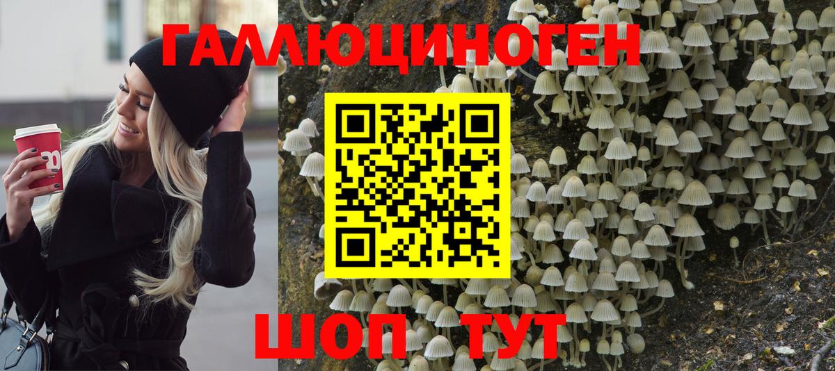 Псилоцибиновые грибы мухоморы Котлас