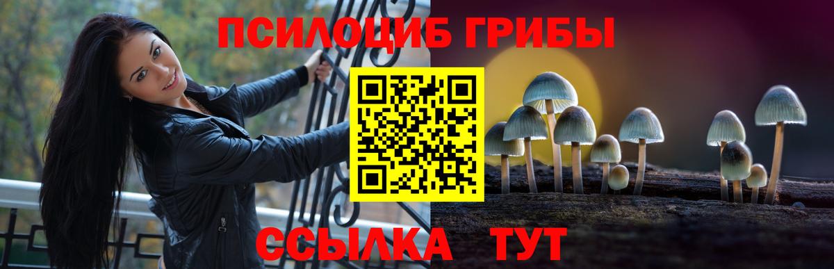 Котлас  Галлюциногенные грибы мицелий  Псилоцибиновые грибы Psilocybe  купить наркотики цена  Вход с VPN 